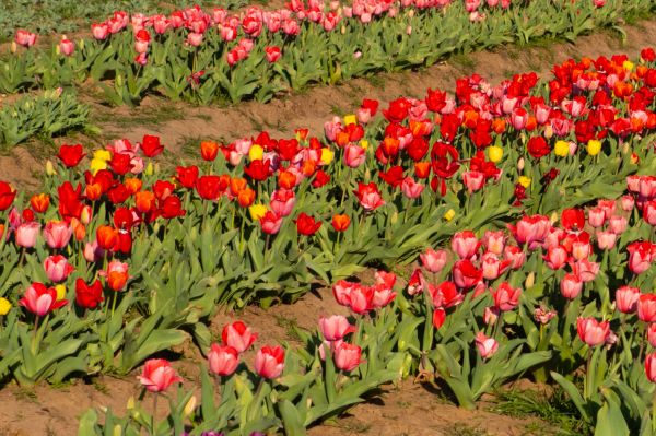 Velikonoční otevírací doba